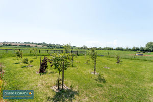 Field- click for photo gallery